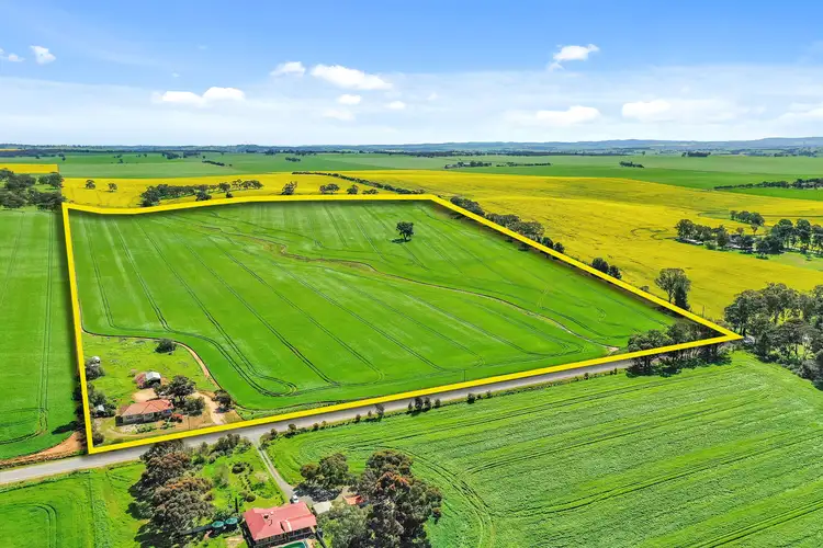 Main view of Homely rural property listing, 1507 Barrier Highway, Saddleworth SA 5413