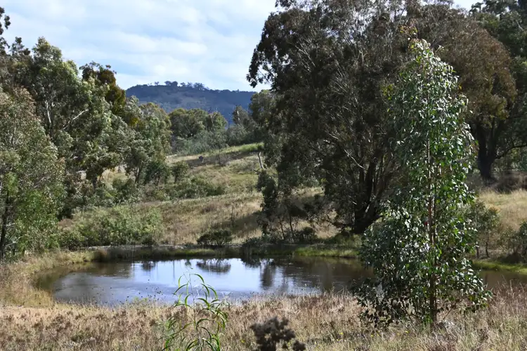 Sixth view of Homely rural property listing, 2398 Queens Pinch Road, Mudgee NSW 2850