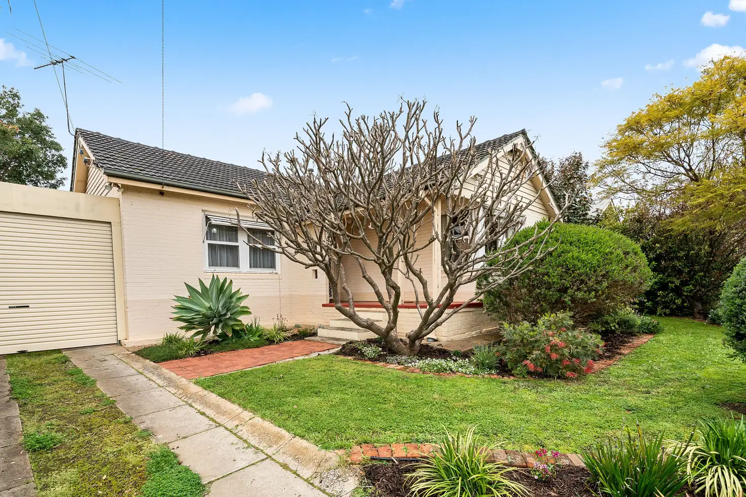 Main view of Homely house listing, 7 Stanlake Avenue, St Marys SA 5042