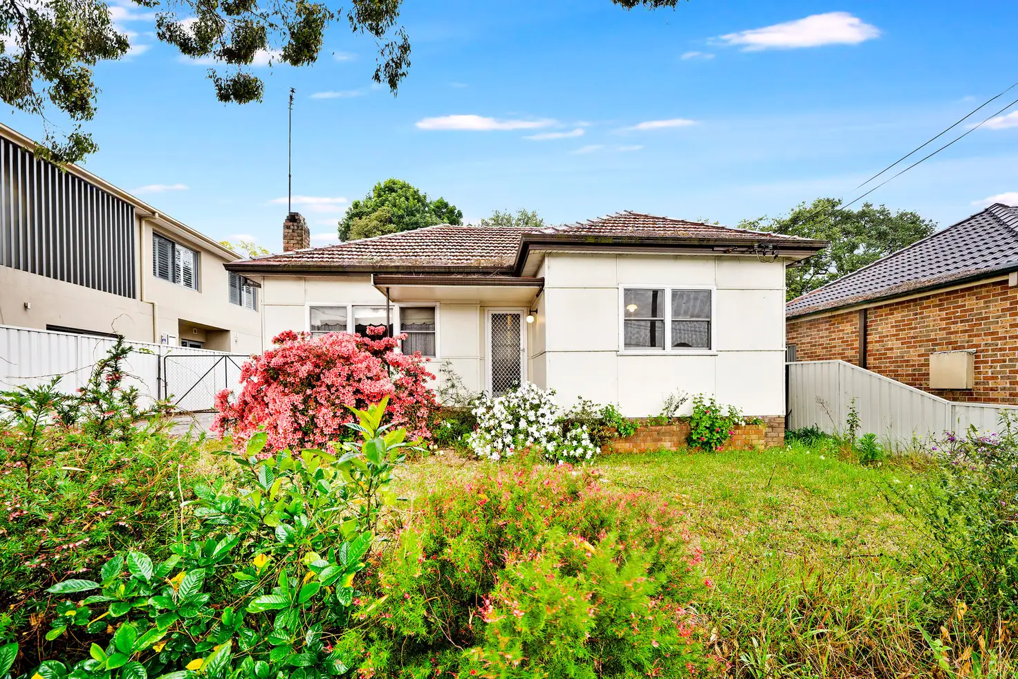Main view of Homely house listing, 146 Boundary Road, Peakhurst NSW 2210