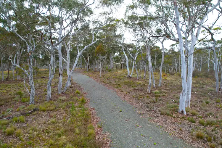 1483 Mountain Ash Road, Goulburn NSW 2580