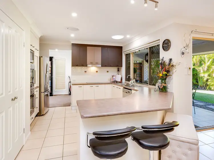 Fifth view of Homely house listing, 6 Red Jacket Court, Palmwoods QLD 4555