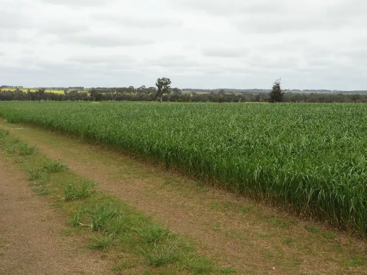 Sixth view of Homely rural property listing, Eagle's Nest #1, Wangeling Gully Road, Williams WA 6391