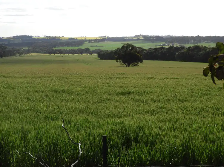 Main view of Homely rural property listing, York Williams Road, Pumphrey's Bridge, West Pingelly WA 6308