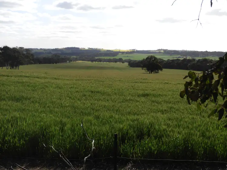 Third view of Homely rural property listing, York Williams Road, Pumphrey's Bridge, West Pingelly WA 6308