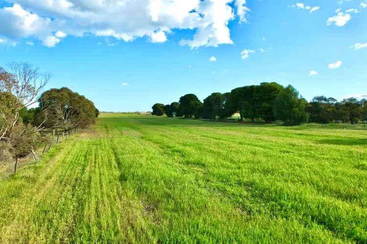 Fifth view of Homely house listing, 1395 Callington Road, Woodchester SA 5255
