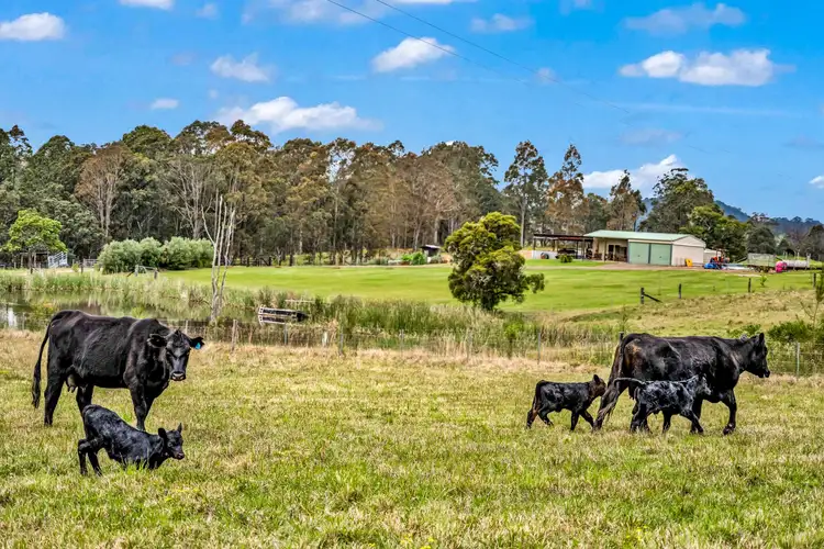 Third view of Homely rural property listing, 2247 Monkerai Road, Gloucester NSW 2422