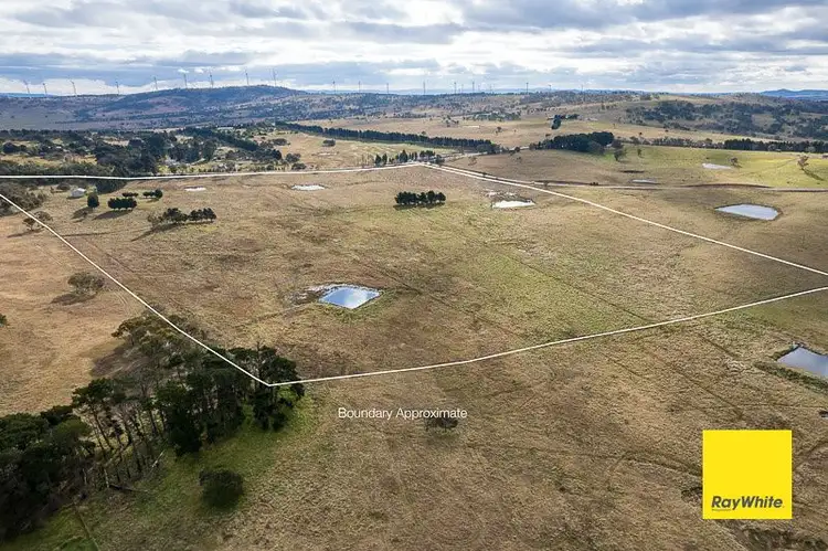Main view of Homely rural property listing, 1528 Tarago Road, Mount Fairy NSW 2580