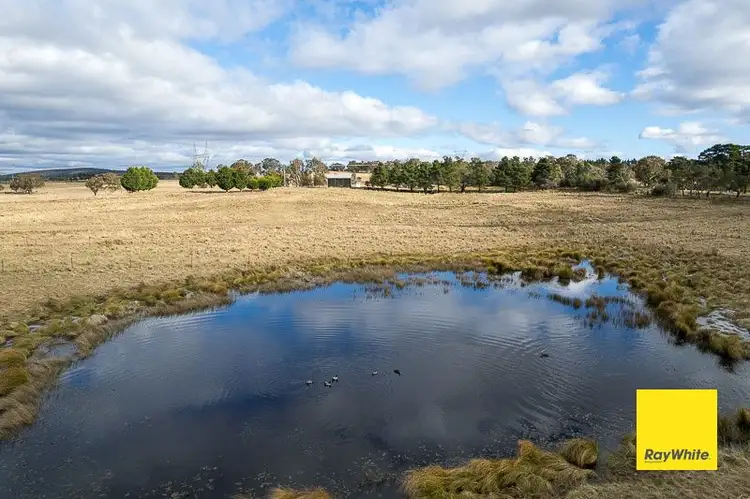 Seventh view of Homely rural property listing, 1528 Tarago Road, Mount Fairy NSW 2580