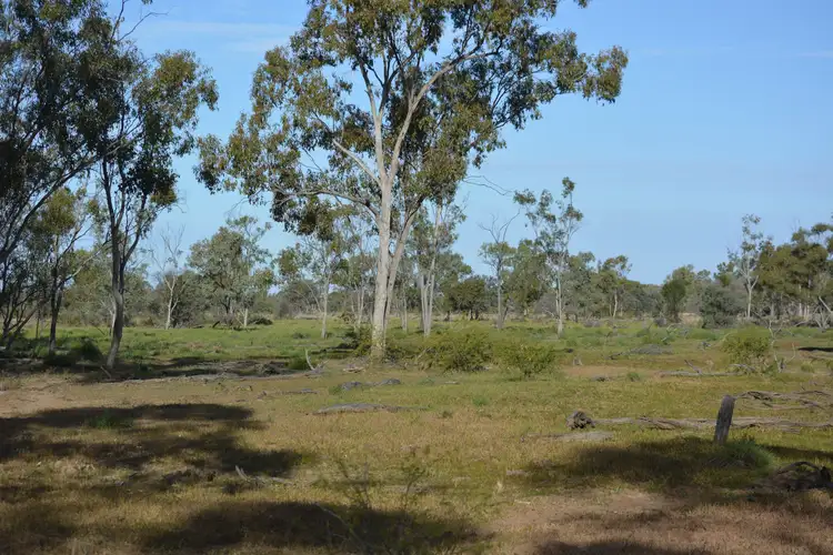 Third view of Homely rural property listing, 3886 Eastmere Road, Aramac QLD 4726