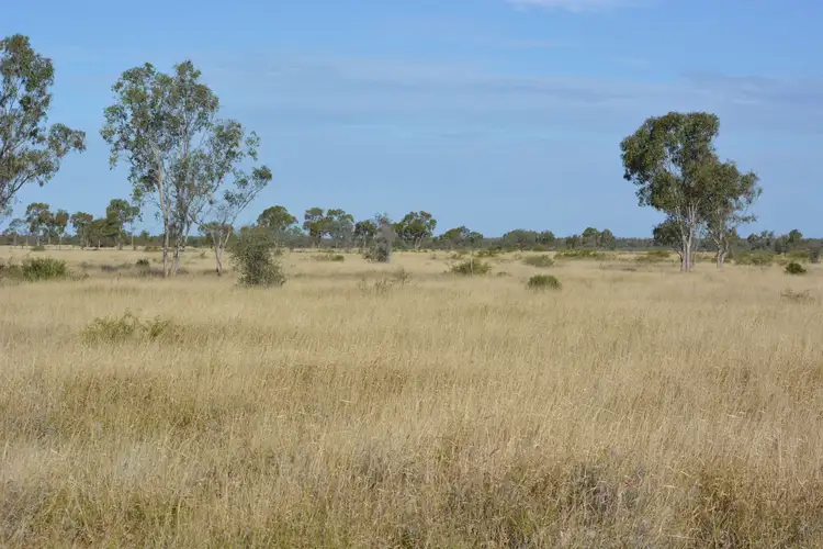 Fifth view of Homely rural property listing, 3886 Eastmere Road, Aramac QLD 4726