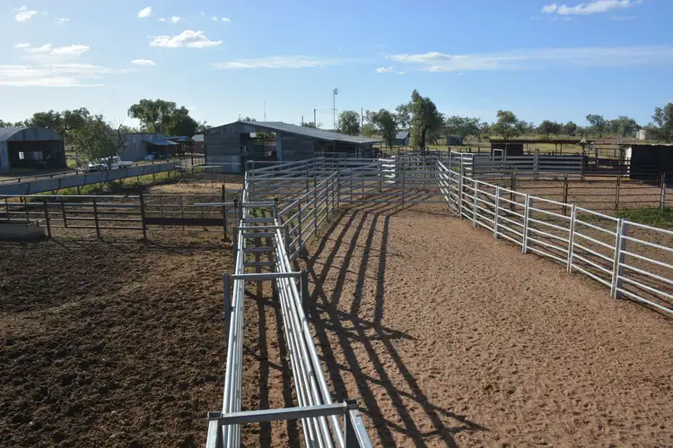 Seventh view of Homely rural property listing, 3886 Eastmere Road, Aramac QLD 4726