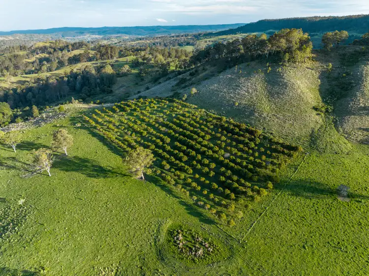 Fifth view of Homely rural property listing, 863 Bingeebeebra, Mummulgum NSW 2469