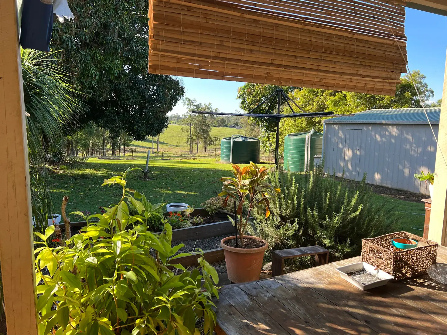 Main view of Homely house listing, 19 Federation Lane, Bauple QLD 4650