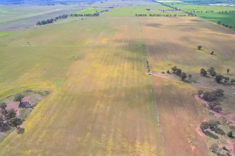 Second view of Homely rural property listing, 'Golden Acres' 416 Mid Western Highway, West Wyalong NSW 2671