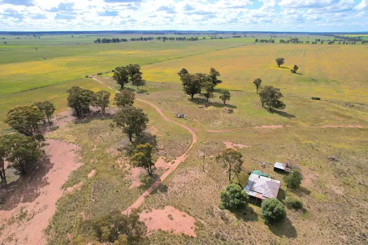 Third view of Homely rural property listing, 'Golden Acres' 416 Mid Western Highway, West Wyalong NSW 2671