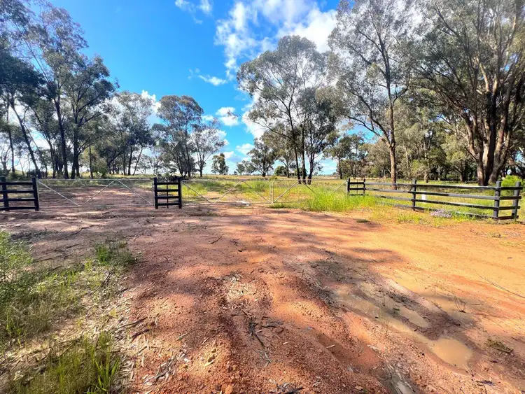 Fourth view of Homely rural property listing, 'Golden Acres' 416 Mid Western Highway, West Wyalong NSW 2671