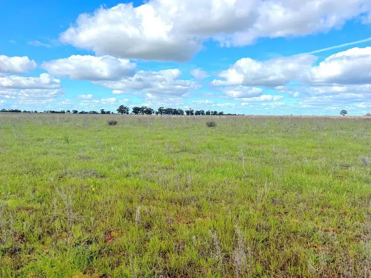 Sixth view of Homely rural property listing, 'Golden Acres' 416 Mid Western Highway, West Wyalong NSW 2671