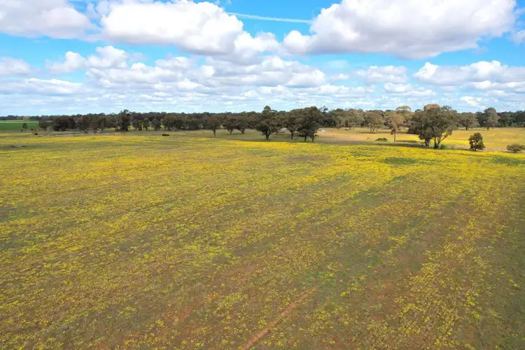 Seventh view of Homely rural property listing, 'Golden Acres' 416 Mid Western Highway, West Wyalong NSW 2671