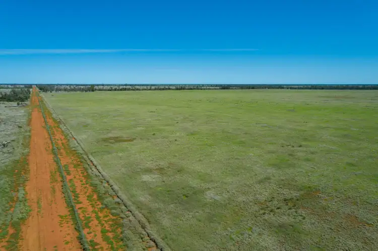 Fourth view of Homely rural property listing, 19180 St George Mitchell Road, St George QLD 4487