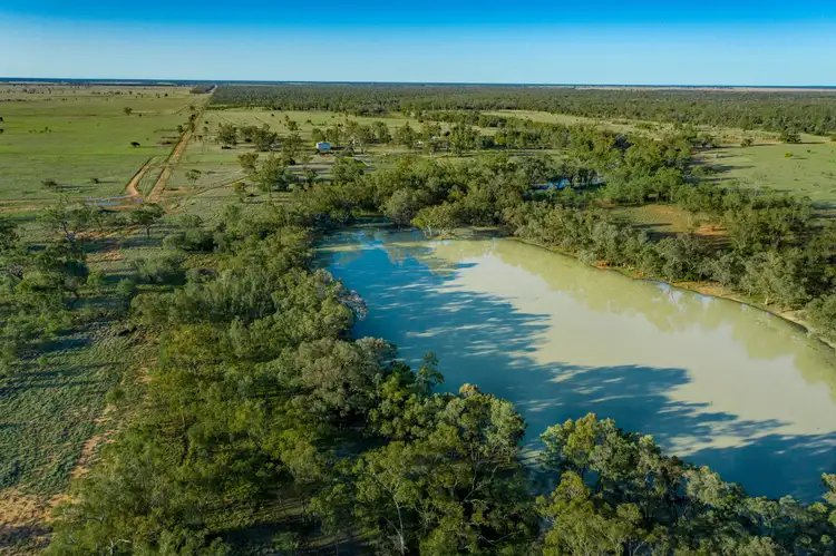Seventh view of Homely rural property listing, 19180 St George Mitchell Road, St George QLD 4487