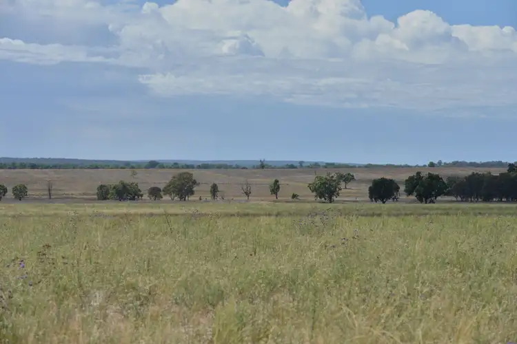 Fourth view of Homely rural property listing, 1896 Boxridge Road, Purlewaugh NSW 2357