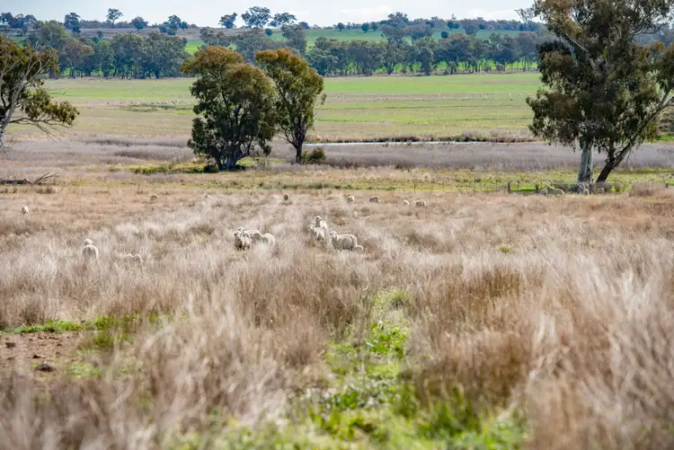 Sixth view of Homely rural property listing, 1896 Boxridge Road, Purlewaugh NSW 2357