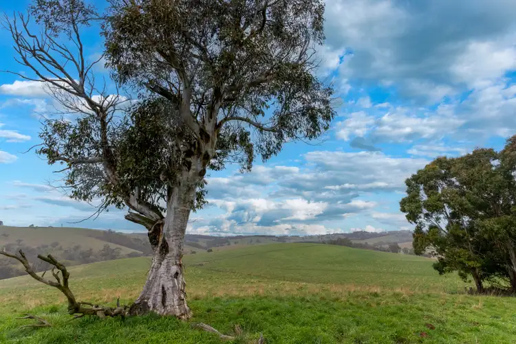 Fifth view of Homely rural property listing, 168 Baileys Lane, Oberon NSW 2787