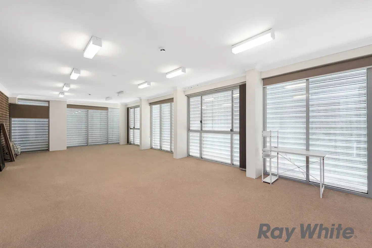 Main view of Homely apartment listing, 50/818-826 Canterbury Road, Roselands NSW 2196