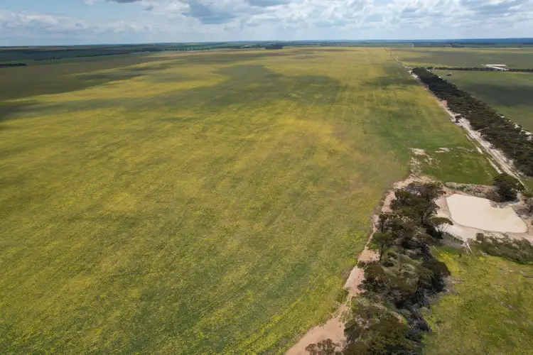 Sixth view of Homely rural property listing, Watsons East, Canny Road, Lake King WA 6356