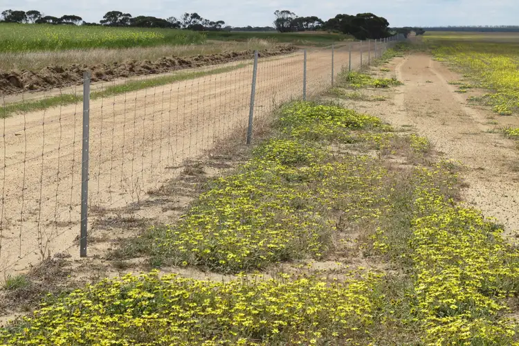 Seventh view of Homely rural property listing, Watsons East, Canny Road, Lake King WA 6356