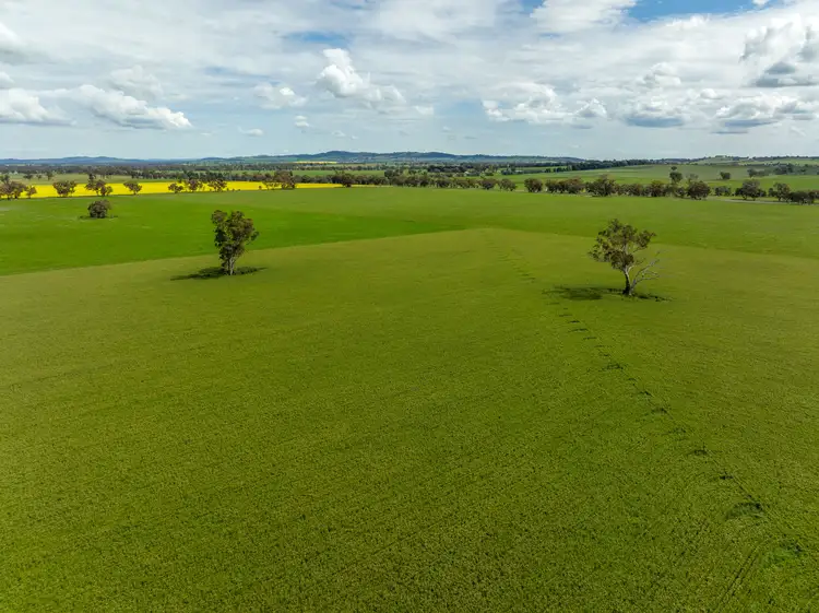 417 Donohoes Lane, Downside, via, Wagga Wagga NSW 2650