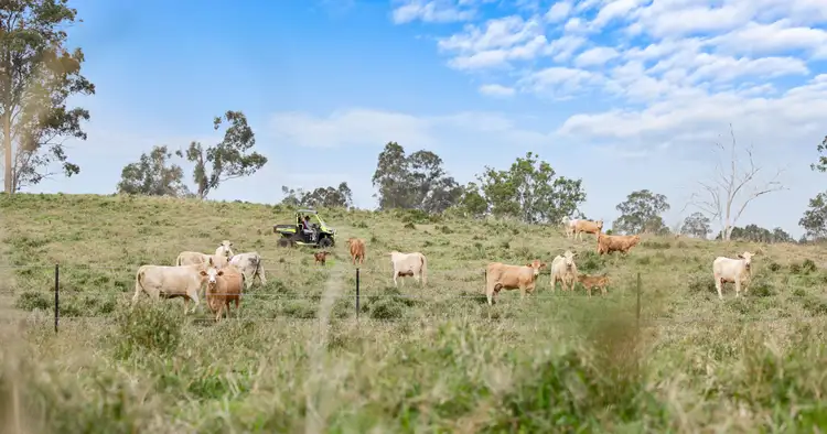 Seventh view of Homely rural property listing, Lot 186 Windsor Drive, Mount Hallen QLD 4312
