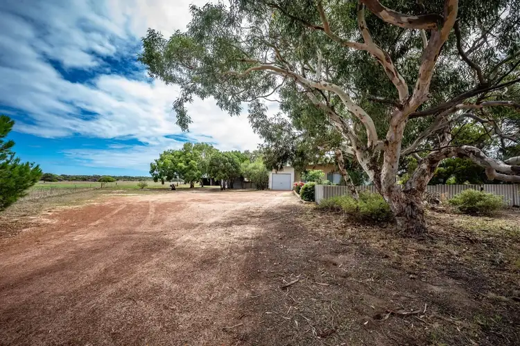 59 Collins Road, Waggrakine WA 6530
