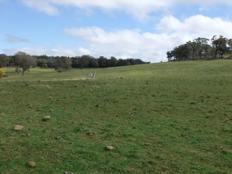 Bald Ridge Road, Bald Ridge NSW 2795