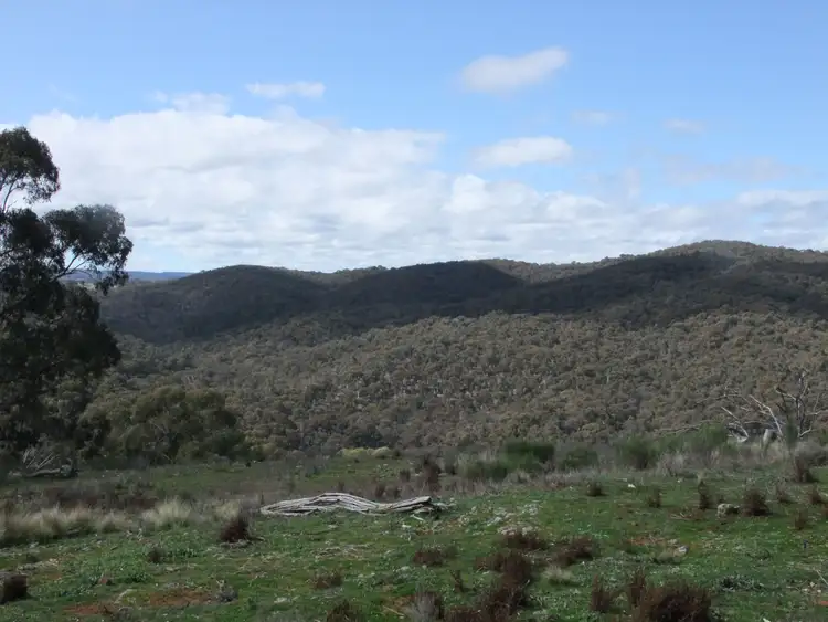 Second view of Homely rural property listing, Bald Ridge Road, Bald Ridge NSW 2795