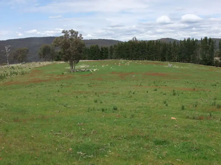 Fourth view of Homely rural property listing, Bald Ridge Road, Bald Ridge NSW 2795
