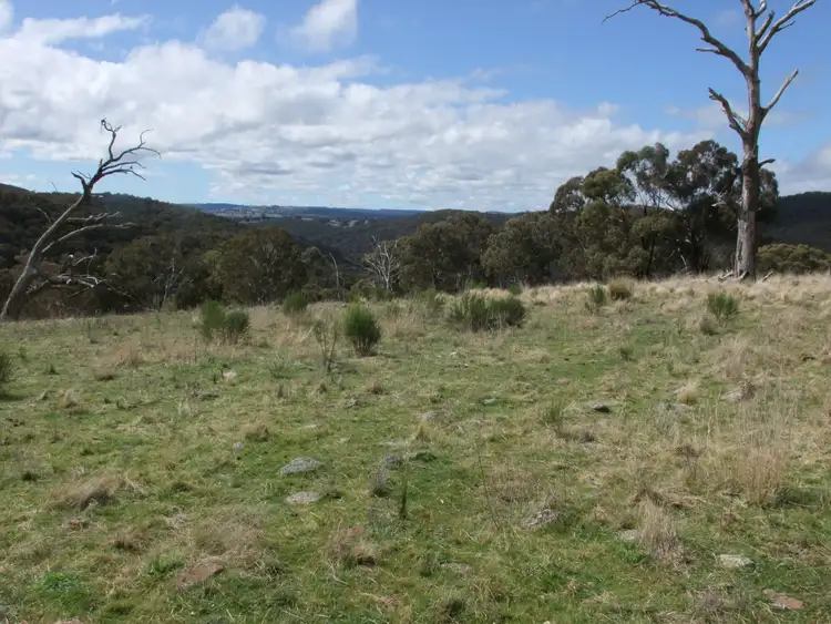 Fifth view of Homely rural property listing, Bald Ridge Road, Bald Ridge NSW 2795