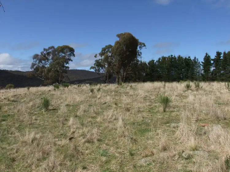 Sixth view of Homely rural property listing, Bald Ridge Road, Bald Ridge NSW 2795
