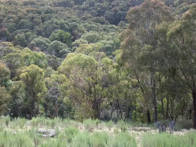 Seventh view of Homely rural property listing, Bald Ridge Road, Bald Ridge NSW 2795