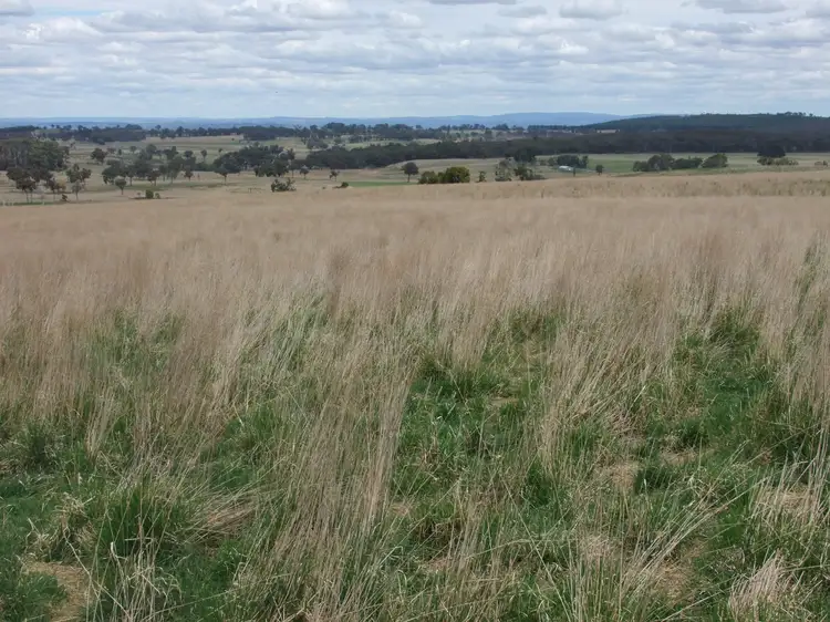 1965 Campbells River Road, Burraga NSW 2795