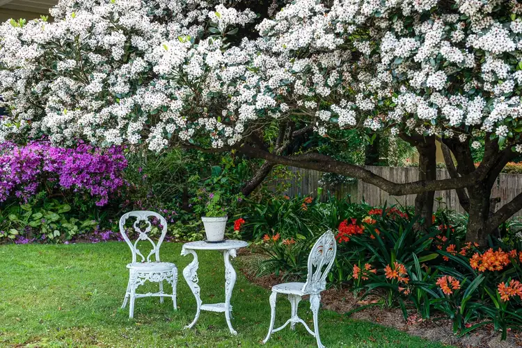 Fourth view of Homely house listing, 26 Dowling Street, Dungog NSW 2420