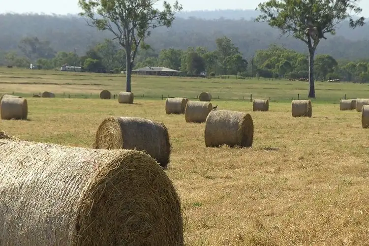 Second view of Homely rural property listing, 1007 Cania Road, Monto QLD 4630