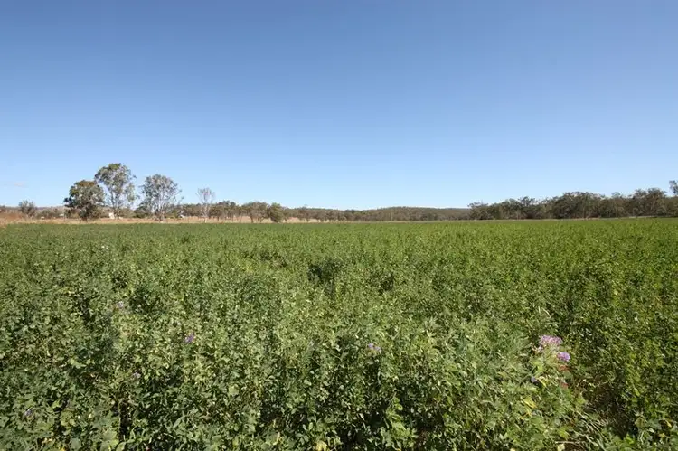 Third view of Homely rural property listing, 1007 Cania Road, Monto QLD 4630