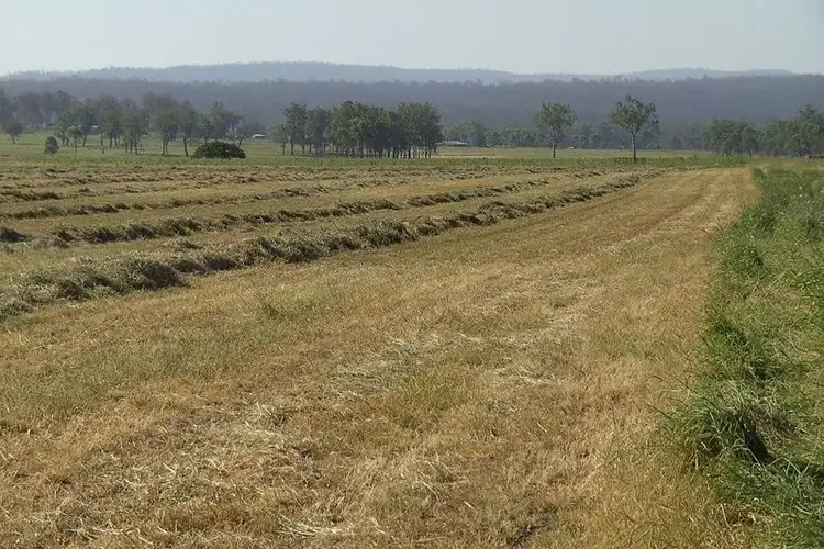 Seventh view of Homely rural property listing, 1007 Cania Road, Monto QLD 4630