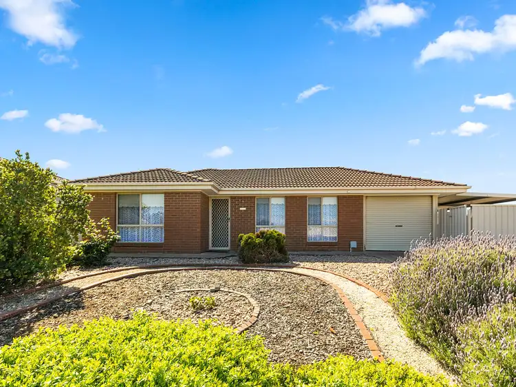 5 Japonica Court, Morphett Vale SA 5162