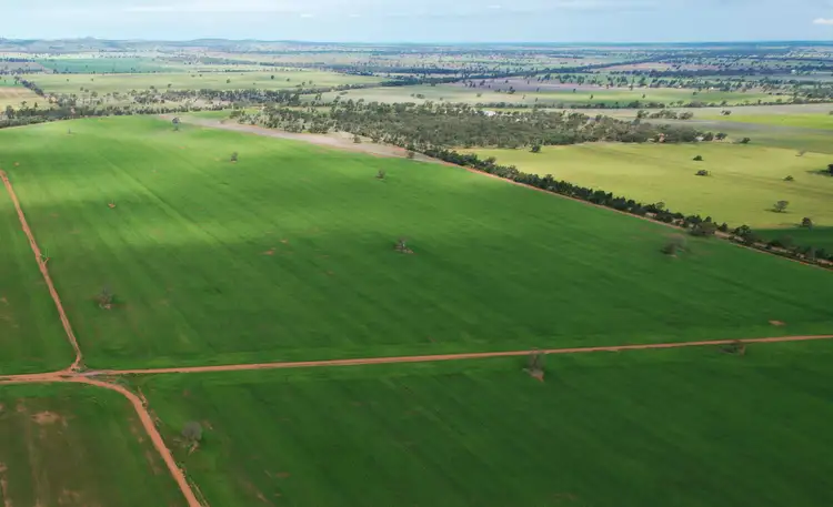 Third view of Homely rural property listing, 'Wingrove'/290 Four Corners Road, Tullibigeal NSW 2669