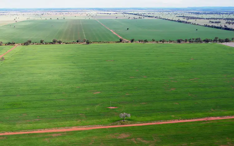 Fourth view of Homely rural property listing, 'Wingrove'/290 Four Corners Road, Tullibigeal NSW 2669