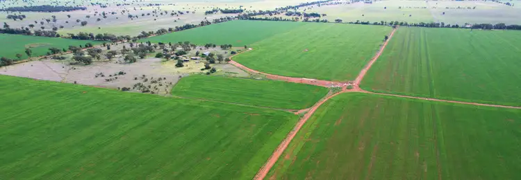 Seventh view of Homely rural property listing, 'Wingrove'/290 Four Corners Road, Tullibigeal NSW 2669