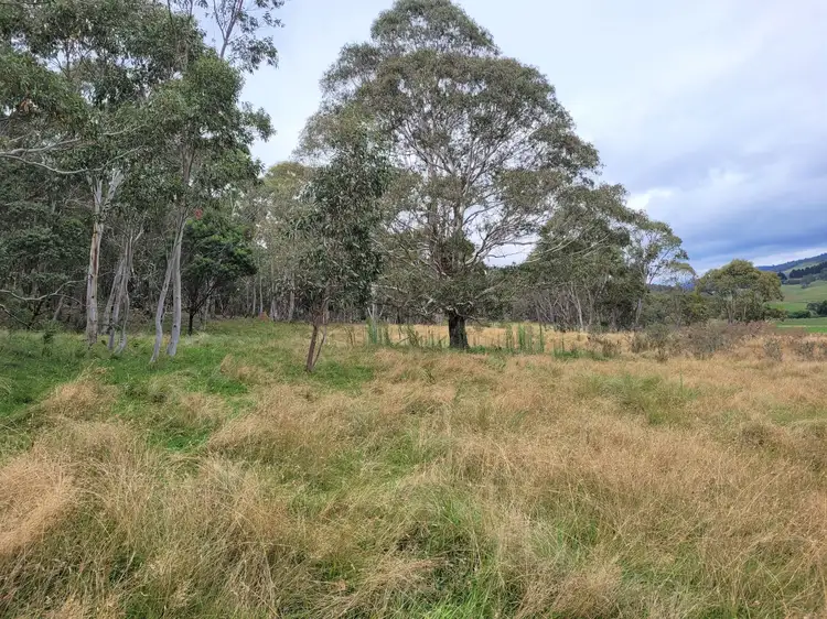 681 Hereford Hall Road, Hereford Hall via, Braidwood NSW 2622